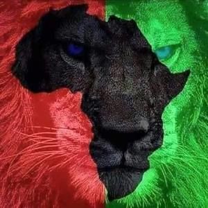 Meet your Posher, Alexander